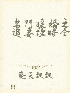 名门暖婚之权爷追妻攻略全文免费阅读