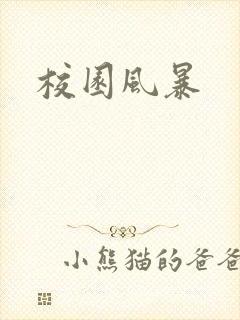 校园风暴