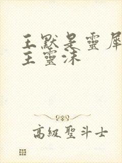 王默是灵犀阁公主灵沫