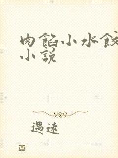 肉馅小水饺写的小说