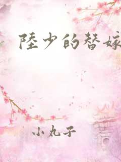 陆少的替嫁宠妻