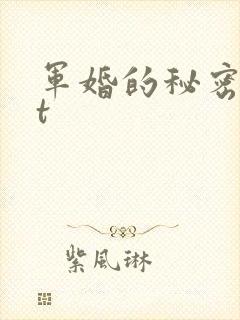 军婚的秘密txt