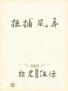 拒捕 风弄