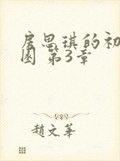 房思琪的初恋乐园 第3章