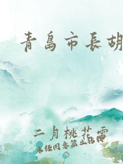 青岛市长胡学峰