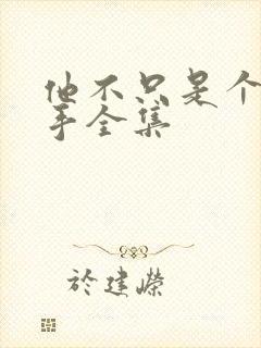 他不只是个狙击手全集