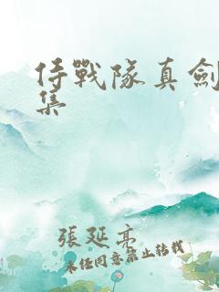 侍战队真剑者全集