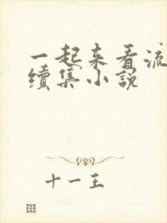 一起来看流星雨续集小说