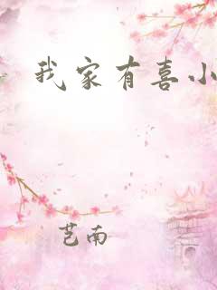 我家有喜小说