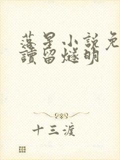 落星小说免费阅读留燧明