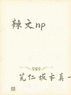 辣文np