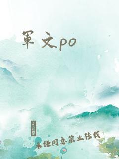 军文po