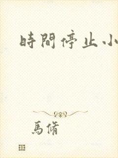 时间停止小说