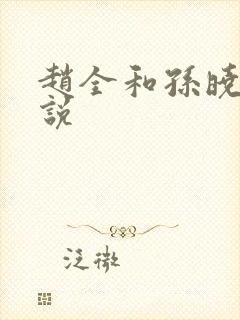 赵全和孙晓云小说