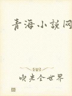 青海小说网