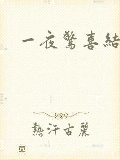 一夜惊喜结局