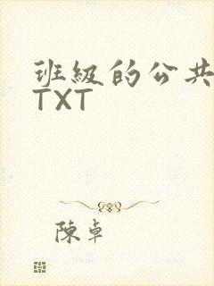 班级的公共玩具TXT