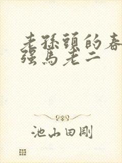 老孙头的春天马强马老二