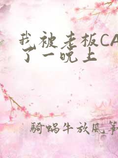 我被老板CAO了一晚上