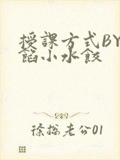 授课方式BY肉馅小水饺