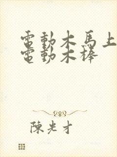 电动木马上两个电动木棒