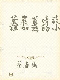 萧严肖晴苏雨溪谭如燕的小说