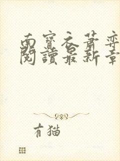 南宝衣萧弈免费阅读最新章节