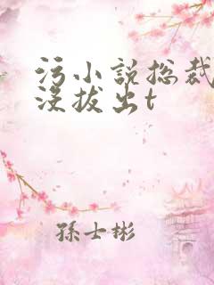 污小说总裁整夜没拔出t