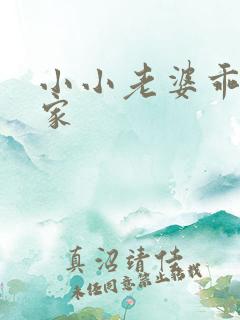 小小老婆乖乖回家