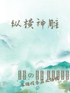 纵横神雕