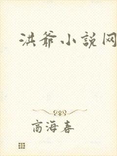 洪爷小说网