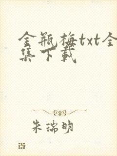 金瓶梅txt全集下载