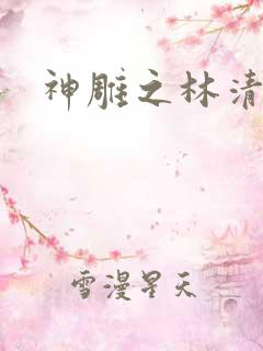 神雕之林清传