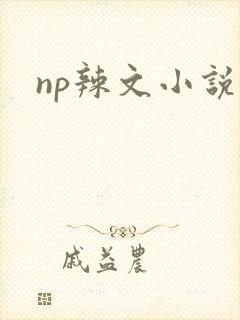np辣文小说