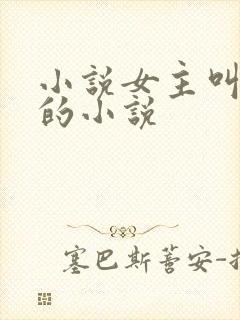 小说女主叫洛蓝的小说