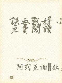 铁血战婿 小说免费阅读