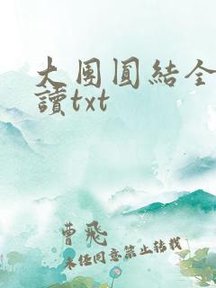 大团圆结全文阅读txt