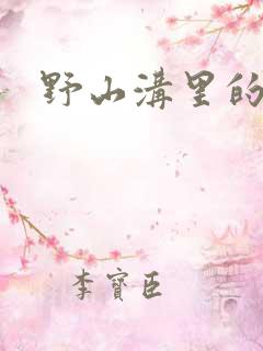 野山沟里的村庄