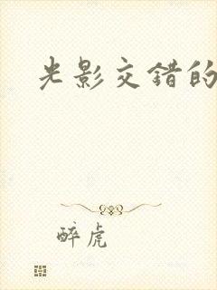 光影交错的时空