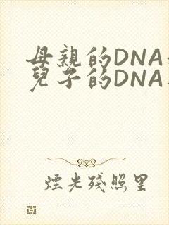 母亲的DNA和儿子的DNA是一样的吗