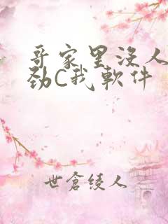 哥家里没人使点劲C我软件