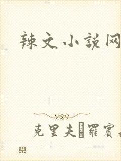 辣文小说网