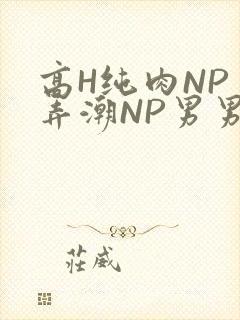 高H纯肉NP 弄潮NP男男