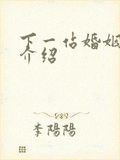 下一站婚姻剧情介绍