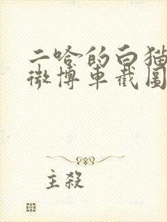 二哈的白猫师尊微博车截图