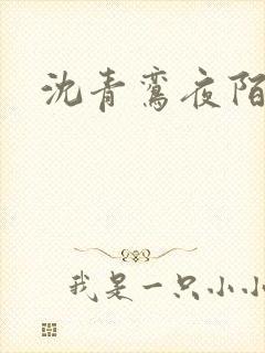 沈青鸾夜陌凌