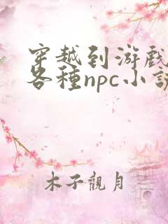 穿越到游戏里和各种npc小说