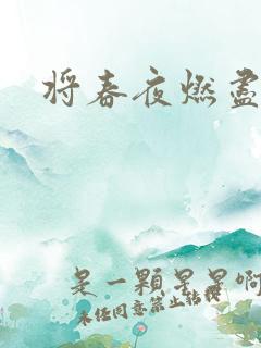 将春夜燃尽