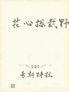 花心总裁野蛮妻