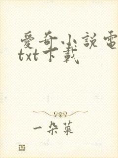 爱奇小说电子书txt下载